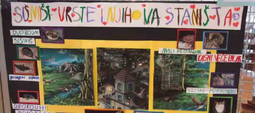 Dajmo više za šišmiše!