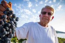 U Primoštenu pokopan predsjednik udruge vinogradara i maslinara: Šjor Ante Gracin krčio je Bucavcu put prema listi UNESCO-a