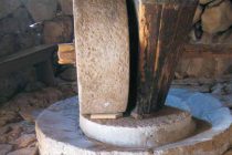 IZ ŠKAFETINA: Prerada maslina – uljarne u Selu