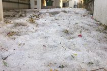 Krupa zasula Primošten