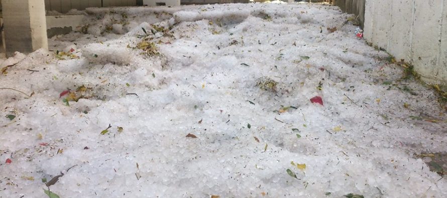 Krupa zasula Primošten