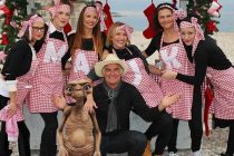 Prijave za fažolijadu 2015 već aktualne! DOĐI  I TI