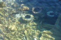 FOTOKRITIKA – Jastožera