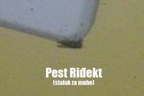 FORA PLUS – Pest riđekt