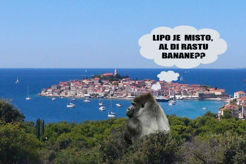 babana 2