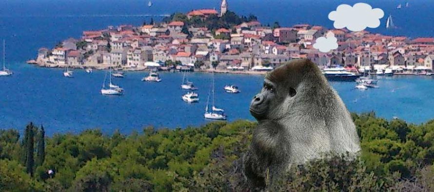 FORA PLUS – Banana