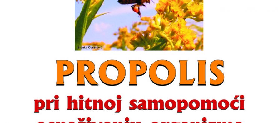 Predavanje o propolisu i njegovom utjecaju na organizam