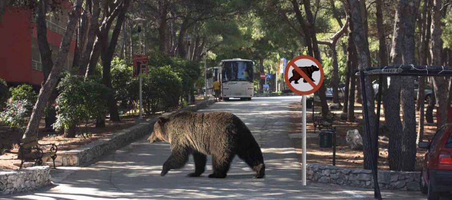 FORA PLUS – Medi kazna od 300 Kn