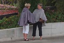 FORA PLUS – Bijeg sa frizure