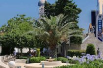 FORA PLUS – Pogled iz parka za 66 godina