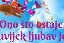 Predstavljanje knjige Ivane Plechinger