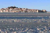 FORA PLUS – Sibir