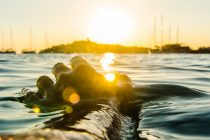 FOTO: Fotografije koje umiruju dušu – Morska idila