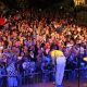 Queen – real tribute