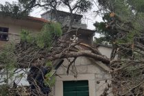Jaki udar bure oborio veliki bor na kapelicu Gospe od Porta