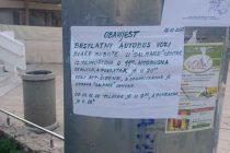 FORA PLUS – Printer free