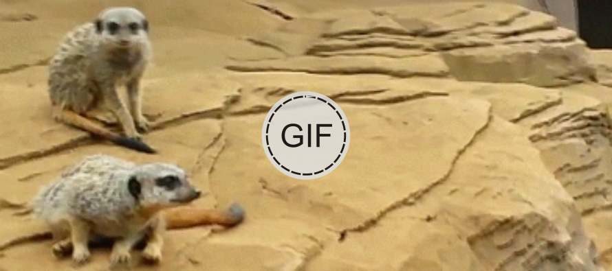 Teke za nasmijati se …