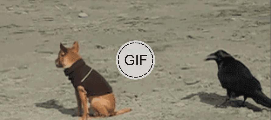 Teke za nasmijati se …