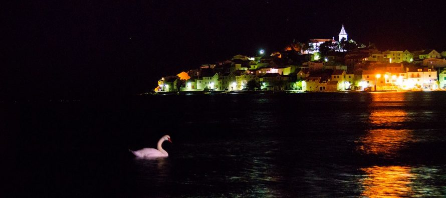 FOTO: Bijeli labud gušta u noćnom plivanju dok Primošten spava