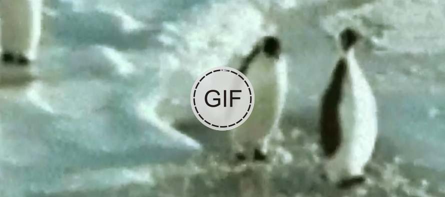 Teke za nasmijati se …