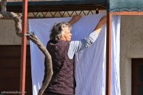 NEMA ZIME: Nastavak stabilnog i sunčanog vremena