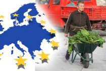 FORA PLUS – Birokracija