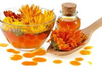 Predavanje o ljekovitom bilju i kućnoj izradi melema