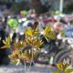 Krka Enduro Raid 2018.