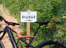 XC Biljulja