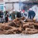 Primoštenska 5. Fažolijada 2018.