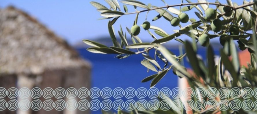 POETSKO-GLAZBENA VEČER: “Naše riči i boje pisme” u knjižnici Dr. Ante Starčević 1912.