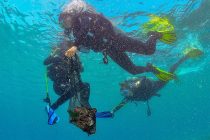 Više od dvjesto ronioca – Djeca i ronioci iz Hrvatske i Slovenije čiste podmorje Savudrijske vale