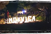 Video: Smokvica party – Veliki provod na malom otočiću