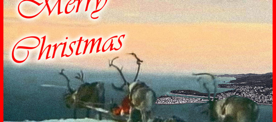 FORA PLUS – Božična