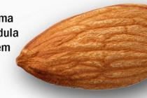 Dan badema se obilježava 16. veljače svake godine.