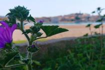 FOTO : Primošten – Empty town