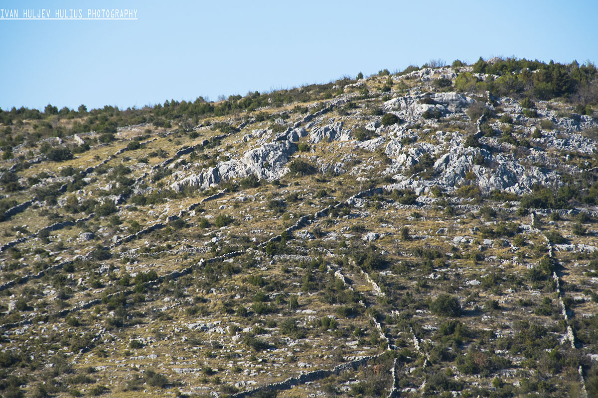  "Primoštenski krajolici 2020"