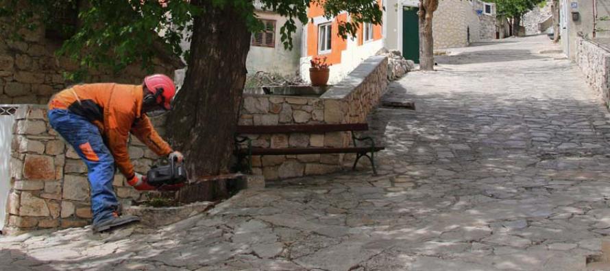 FORA PLUS – Ode murva……