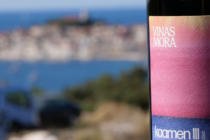 FOTO – Primošten ima još jednu novu vinariju!