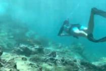 Video – Primošten diving