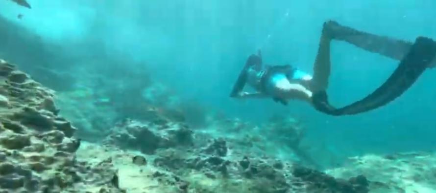 Video – Primošten diving