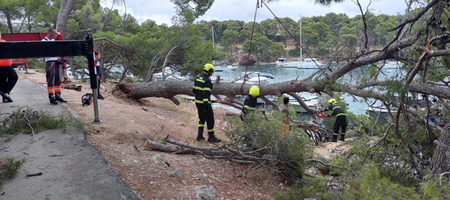 Obavijest iz Bucavca d.o.o.