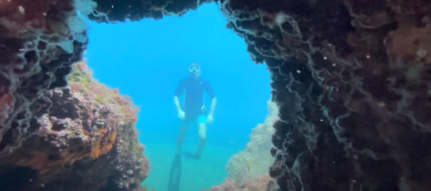 VIDEO – Primošten and Rogoznica free diving