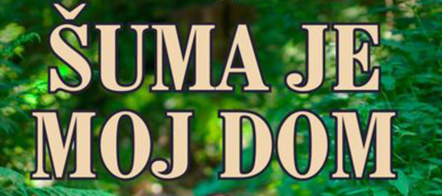 NAJAVA! Predstavljanje knjige autora Nikole Borića