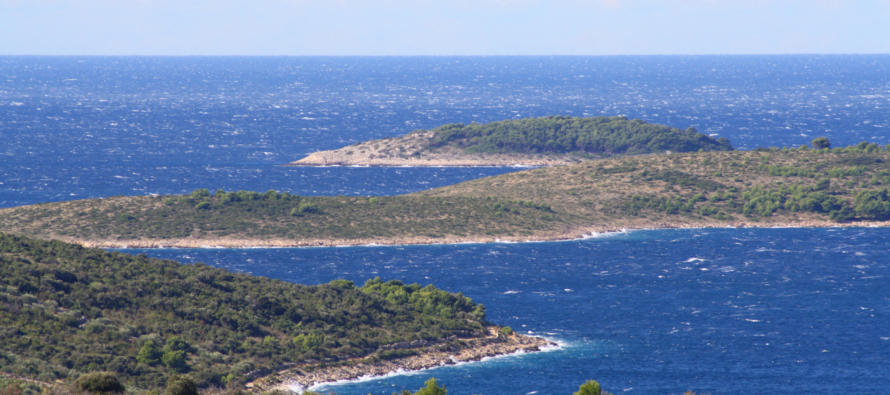 FORA PLUS – Iz drugog kuta