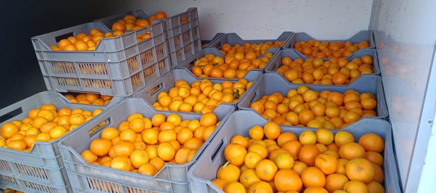 I ovaj utorak dolaze svježi domaći proizvodi iz doline Neretve