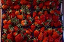 Jagode sutra stižu na stanicu