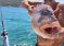 FISHING PRIMOŠTEN – PRIVATNI RIBOLOVNI IZLETI