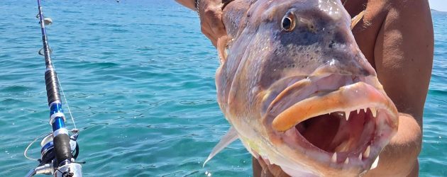 FISHING PRIMOŠTEN – PRIVATNI RIBOLOVNI IZLETI