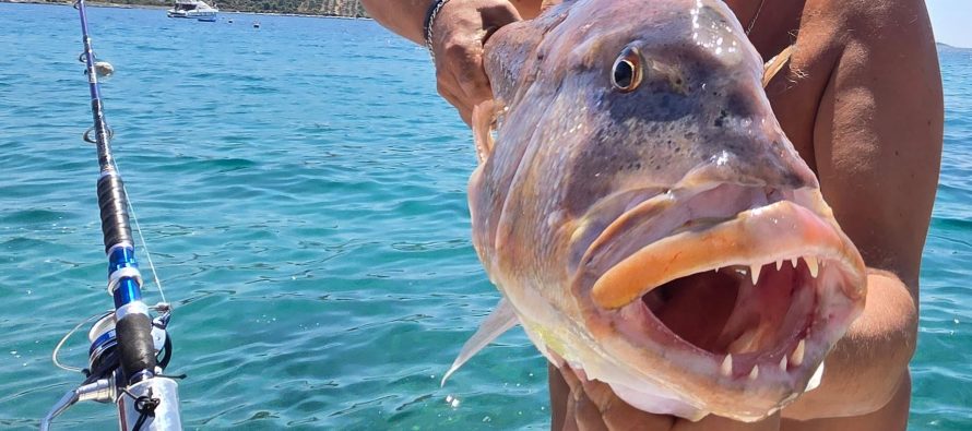 FISHING PRIMOŠTEN – PRIVATNI RIBOLOVNI IZLETI